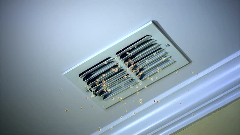 Best Best Air Duct Cleaning Company  in Aragon, GA