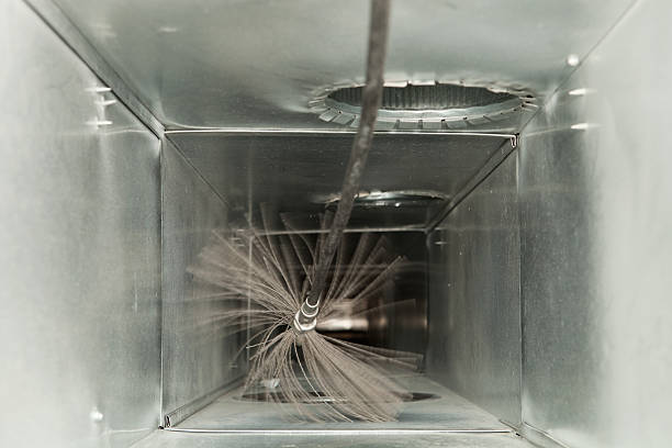 Best Air Duct Mold Removal  in Aragon, GA