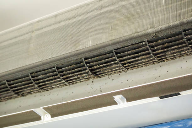 Best Best Air Duct Cleaning Company  in Aragon, GA